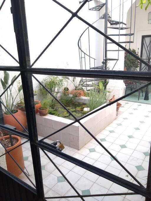Casa Cuauhtemoc Vila Guadalajara Exterior foto
