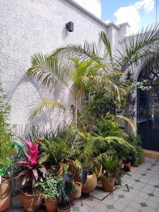 Casa Cuauhtemoc Vila Guadalajara Exterior foto