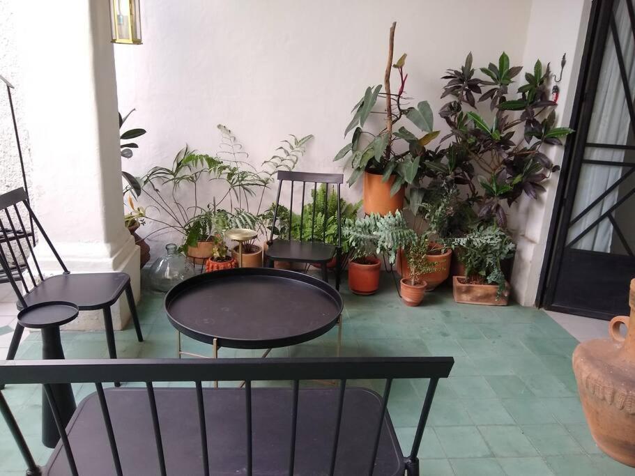 Casa Cuauhtemoc Vila Guadalajara Exterior foto