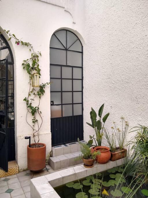 Casa Cuauhtemoc Vila Guadalajara Exterior foto